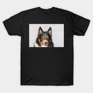 Wet Border Collie T-Shirt